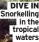  ?? ?? DIVE IN Snorkellin­g
in the tropical
waters