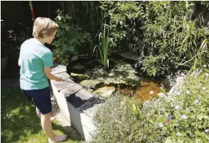  ??  ?? ABOVE Owen dips a net into the pond to see which species lurk beneath the surface