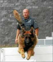  ?? PHOTO PROVIDED ?? Beal, the Ulster County Sheriff’s police dog