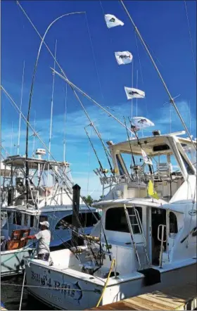  ?? TOM TATUM - FOR DFM ?? Charter boats like Bill$ 4 Bills have been hitting the offshore canyons, loading up with yellowfin tuna and dolphin, and returning to the docks with catch flags flying.