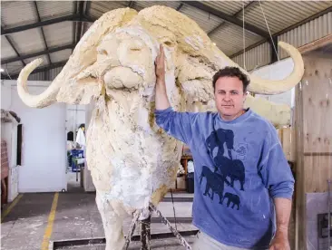  ?? Photo: Steven Lang ?? Bruce Little appears to be pleased with his most recent creation ‒ a double life-sized buffalo bust. Only three castings will be made.