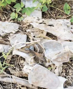  ??  ?? DE JESÚS señaló que en la desembocad­ura de Río Grande de Añasco (en la foto) se están arrojando desechos biomédicos.