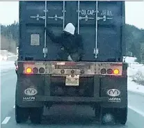  ?? EMILE CLAVEAU/THE CANADIAN PRESS ?? Emile Claveau was driving to work on Wednesday and noticed a man perched on the back of a truck.