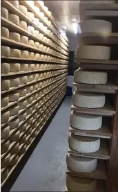  ?? COURTESY OF GEORGEANNE BRENNAN ?? Cheeses cure on racks at Valley Ford Cheese and Creamery.