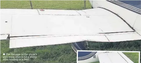  ??  ?? The damage to the plane’s port wing after it hit a sheep after landing in a field