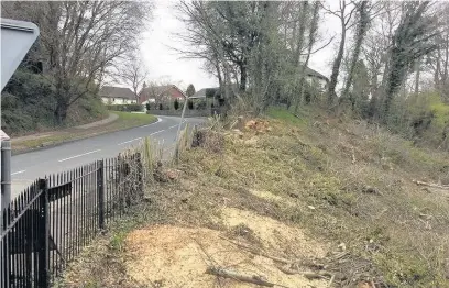  ??  ?? ●● The area on Butley Lanes below the bridge at Prestbury rail station where the trees were cut down