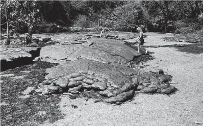  ?? Photos via Associated Press ?? ■ ABOVE: In this April 21, 1990, file photo, Mary Dressler steps onto a cooled lava flow which has filled up most of the backyard of her mother-in-law’s home in the Kalapana Gardens subdivisio­n in Kalapana, Hawaii. Lava pouring out of Kilauea volcano...