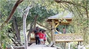  ?? CHUSNUL CAHYADI/JAWA POS ?? MENIKMATI SIMPING: Sejumlah bocah bermain-main di kawasan ekowisata mangrove di Desa Sukorejo.