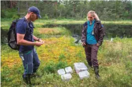  ??  ?? PÅ LØDDESØL: I noen få tjern på Løddesøl i Arendal har damfrosker overlevd.