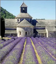  ?? Rick Steves’ Europe/PAUL ORCUTT ?? Monks at Senanque Abbey in Provence divide their day between prayer and work, which includes tending their perfect rows of lavender.