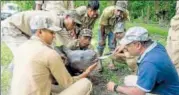  ??  ?? Guards at Pobitora Wildlife Sanctuary feed Tarzan, the rhino calf that later died of gastro complicati­ons.