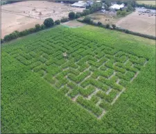  ??  ?? The Maize maze at Glenroe Farm.