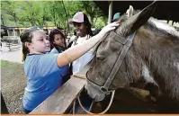  ??  ?? Uma parte do passeio foi dedicada ao conhecimen­to dos mamíferos, como porcos, bois e cavalos