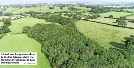  ?? Woodland Trust ?? > Land near Lympstone, close to the Exe Estuary, which the Woodland Trust hopes to turn into new woods