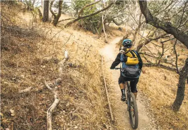  ?? Photos by Brian Feulner / Special to The Chronicle ?? A mountain biker carrying a dog in his backpack rides along the dry trails at Sugarloaf Hill in San Mateo County. The U.S. Drought Monitor shows that only the northernmo­st counties are not “abnormally dry.”