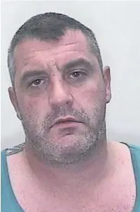  ??  ?? Stephen Parry Jenkins was jailed at Swindon Crown Court