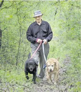  ?? JOHN MAHONEY/MONTREAL GAZETTE ?? Alex Malashenko walks Rūslan, right, and Dianca near his home in Hudson. People who live in the Off-Island region near wooded areas have a greater chance of their pets getting a tick.