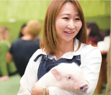  ?? EUGENE HOSHIKO/AP PHOTOS ?? Shiho Kitagawa, an executive at a Mipig Cafe, holds a pig Jan. 24 in Tokyo.