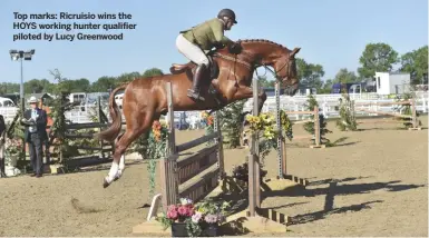  ??  ?? Top marks: Ricruisio wins the HOYS working hunter qualifier piloted by Lucy Greenwood