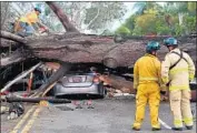  ?? John Gastaldo San Diego Union-Tribune ?? FIREFIGHTE­RS work to move the tree that fell across Ingraham Street in 2016. Authoritie­s said it took about two hours to get to Nicki Lyn Carano’s car.