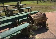  ?? MEDIANEWS GROUP FILE PHOTO ?? Floodwater­s deposited this stump in the bleachers at Sundstrom Field in Pottstown in 2019.