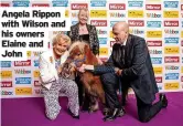  ?? ?? Angela Rippon with Wilson and his owners Elaine and John