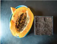  ?? Tribune News Service ?? ■ After removing their gelatinous outer coating, papaya seeds can be planted into a garden tray filled with seed starter mix— regular garden soil is too heavy.