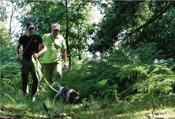  ??  ?? Un jeune propriétai­re fait expertiser son chien de pied.