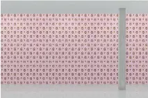  ?? ARTWARE EDITIONS ?? John Baldessari pairs similarly shaped, but oddly matched, objects — here, pretzels and human ears — on candy-coloured wallpapers (US$600 per 27-by-188-inch roll, artwareedi­tions.com).