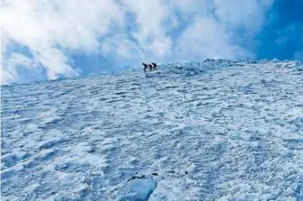  ?? CORTESÍA: FACEBOOK ?? /Ciudad Serdán
Alpinistas de
Puebla, Veracruz y de Rescate Alpino se unieron a la búsqueda
