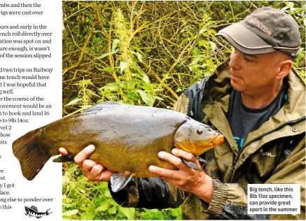  ??  ?? Big tench, like this 9lb 11oz specimen, can provide great sport in the summer