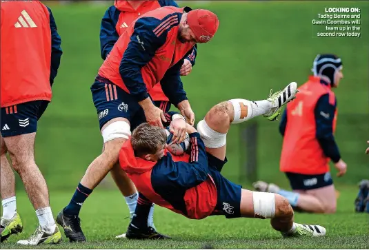  ?? ?? LOCKING ON: Tadhg Beirne and Gavin Coombes will team up in the second row today