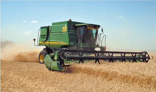  ??  ?? Cosecha. Con esta tarea comienza el proceso de transforma­ción del grano de trigo. Es clave lograr un cultivo de calidad para luego tener una harina confiable.