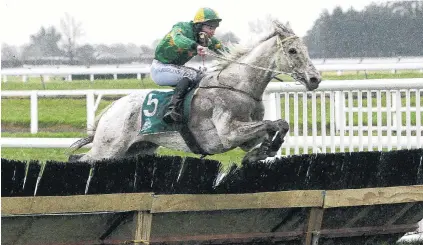  ?? PHOTOS: RACE IMAGES ?? Scaling the heights . . . Jockey Stuart Higgins and Jackfrost take a jump in style during the Grand National Hurdles at Riccarton in Christchur­ch yesterday. The combinatio­n won by more than eight lengths.