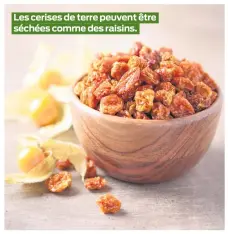  ??  ?? Les cerises de terre peuvent être séchées comme des raisins.