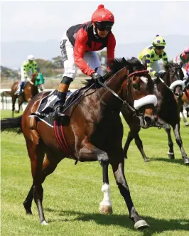  ??  ?? MARCUS BACK. It’s My Turn will have Anton Marcus up for Saturday’s R300,000 Track & Ball Derby (Grade 3) over 2400m at Scottsvill­e.