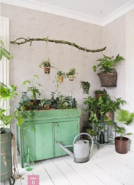 drachenbaum groß kaufen XL BÜROPFLANZE Dracaena mit Vase – Green Me Up