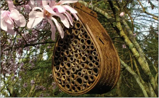  ?? (AP file photo) ?? Mason bees would find this commercial bee house made of bamboo tunnels attractive.