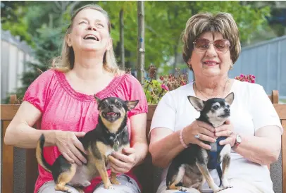  ?? WAYNE CUDDINGTON ?? Christine Rideout, left, and Frances Hulett with rescued chihuahuas Charlie and Hilton.