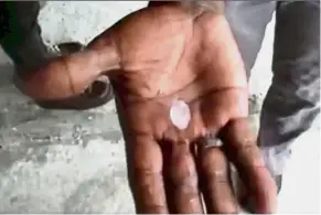  ??  ?? ‘Cool’ occurrence: A screen grab from a video of an ice pellet that fell during a hailstorm in Ipoh.