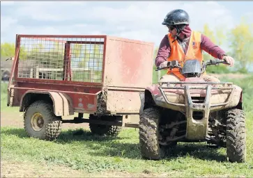  ??  ?? Pause requested . . . A dealership owner is asking for a three-year pause on the rollout of new quad bike safety legislatio­n in order to save the machine from disappeari­ng in Australia.