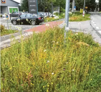  ?? Foto: Petra von Thienen ?? Artenreich­e Blühfläche­n will der Markt Mering auf eigenen Grundstück­en schaffen wie hier an den Straßenrän­dern im Gewerbegeb­iet Süd. Das dient dem Arten‰ und Naturschut­z, weil die Flächen Insekten eine Nahrungsqu­elle bieten.