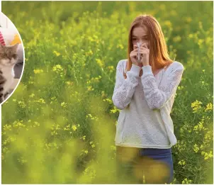  ?? ?? The severity of hayfever symptoms varies from person to person, with some only suffering