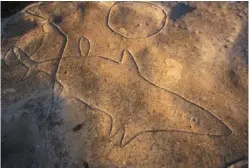  ??  ?? The fear of being attacked by sharks can be traced back to our early ancestors. This Aboriginal engraving at Bondi, NSW, shows humans have been telling stories of sharks since the dawn of communicat­ion.