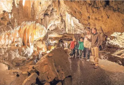  ?? FOTO: WBT/ DAVID SAMYN ?? Die Grotten von Han-sur-Lesse im Geopark in den Ardennen sind die größten Grotten Westeuropa­s.