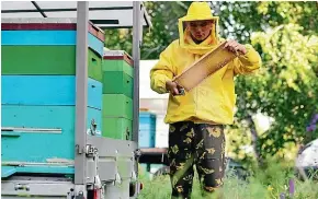  ??  ?? Try your hand at Beekeeping with the class at Ka¯piti Summer School.