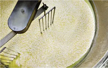  ?? (GETTY IMAGES/WESTEND61) ?? Le lactosérum – appelé aussi «petit-lait» – est le gel jaune séparé du lait caillé dans l’industrie fromagère. Un déchet qui pourrait s’avérer utile.