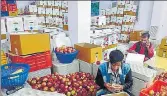 ?? HT FILE ?? ■
Apple-growers are facing labour shortage this season.