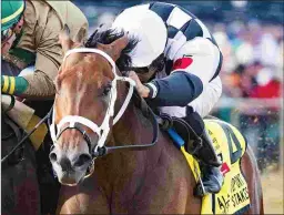  ?? DEBRA A. ROMA ?? Mylady Curlin is looking for her sixth consecutiv­e victory.