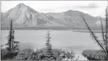  ?? WILDLIFE SERVICE/GETTY IMAGES VIA TRIBUNE NEWS SERVICE] ?? This undated photo shows the Arctic National Wildlife Refuge in Alaska. President Trump is rushing to auction drilling rights in the refuge before President-elect Joe Biden is inaugurate­d. [US FISH AND